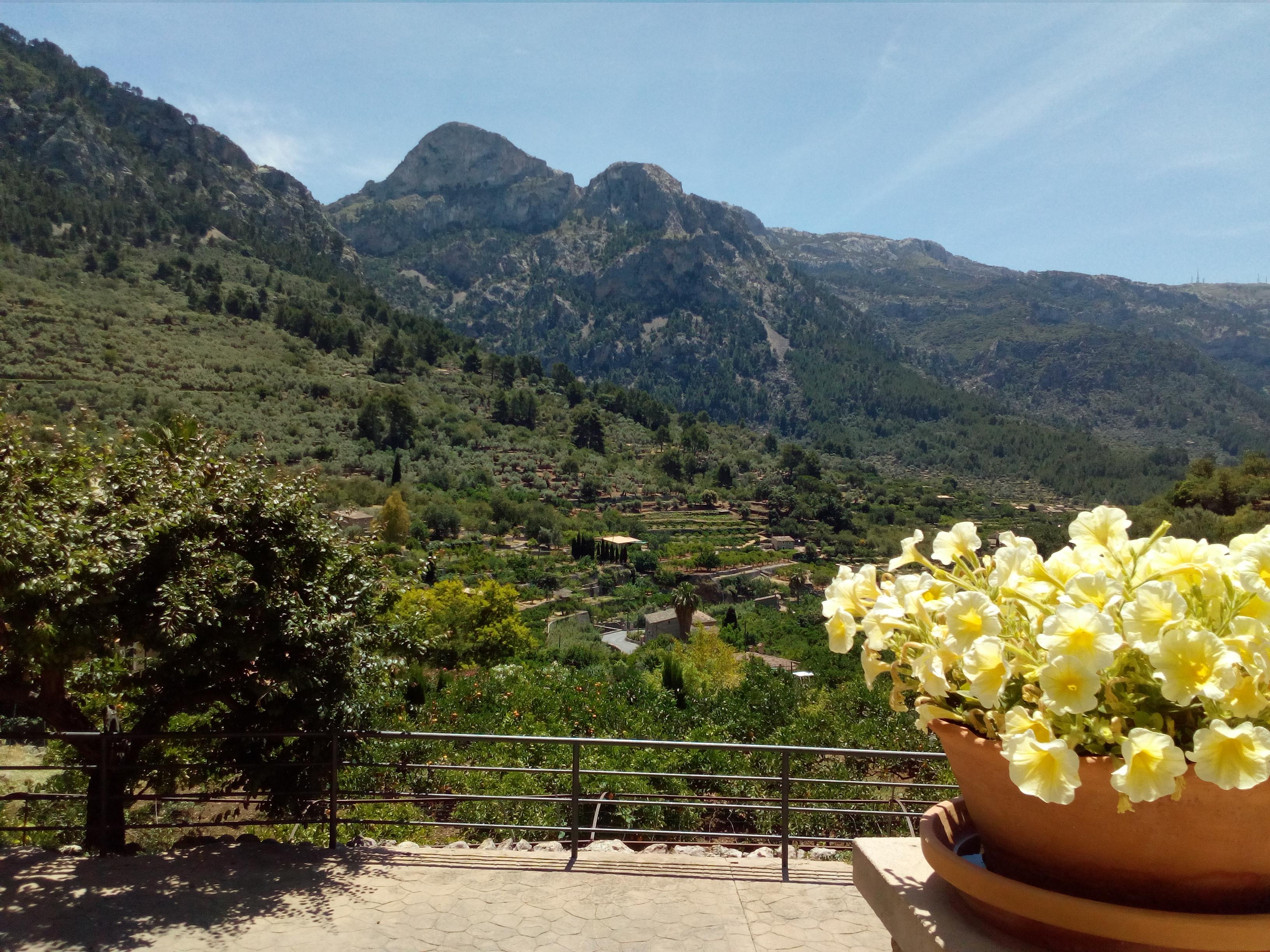 Hotel Apartament Sa Tanqueta De Fornalutx - Adults Only Bagian luar foto